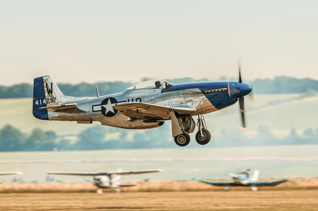 P-51D Mustang Moonshine McSwine in flight