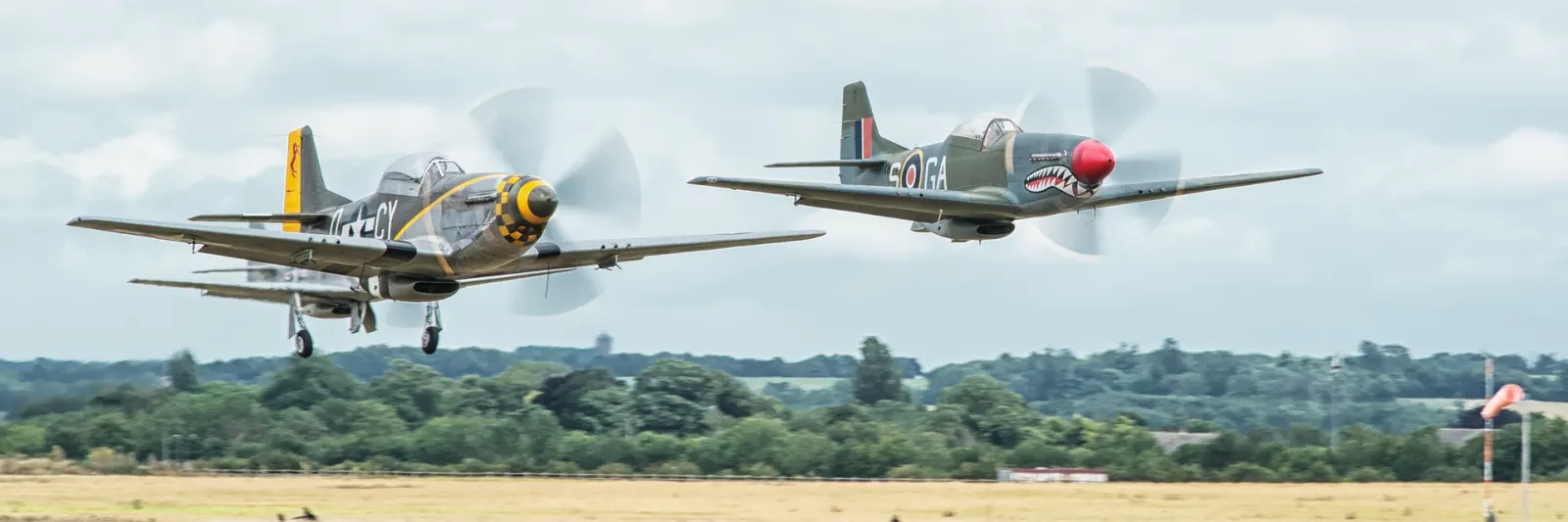 A flight of P-51 Mustangs in formation